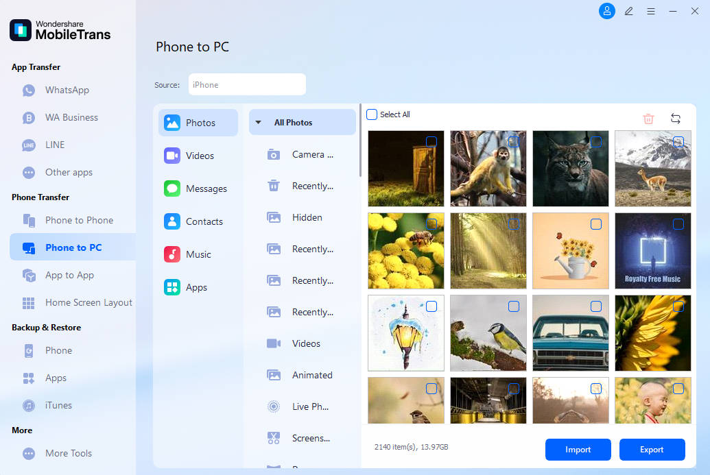 choose files to export to computer