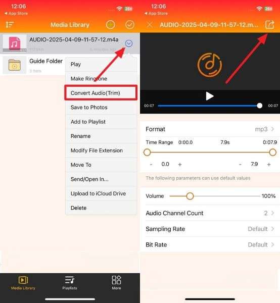choose convert audio and export